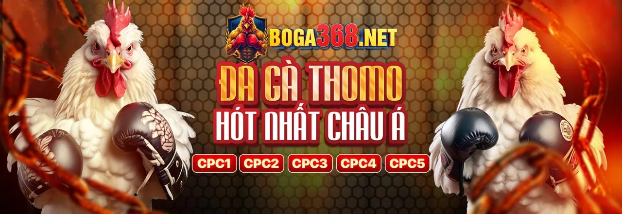 Sân Đấu Đá Gà 777loc khuyến mãi